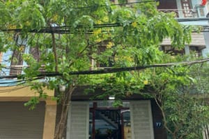 Phân lô VIP Kim Giang – 50/60m², vỉa hè, ô tô tránh – Trung tâm Thanh Xuân, kinh doanh & văn phòng đỉnh cao